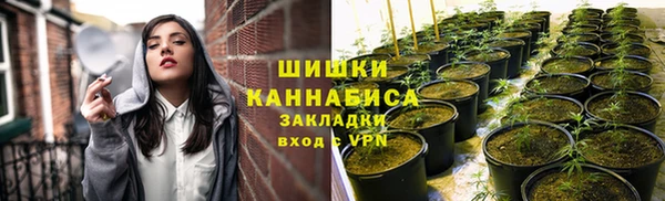 соль ск Алексеевка