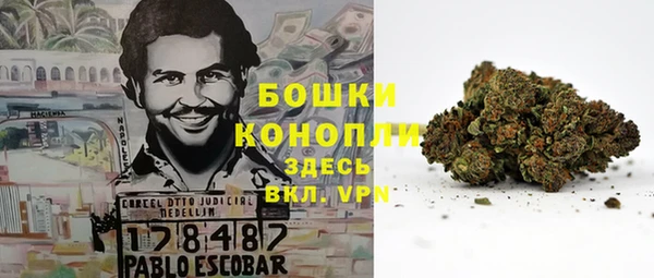 apvp Алзамай