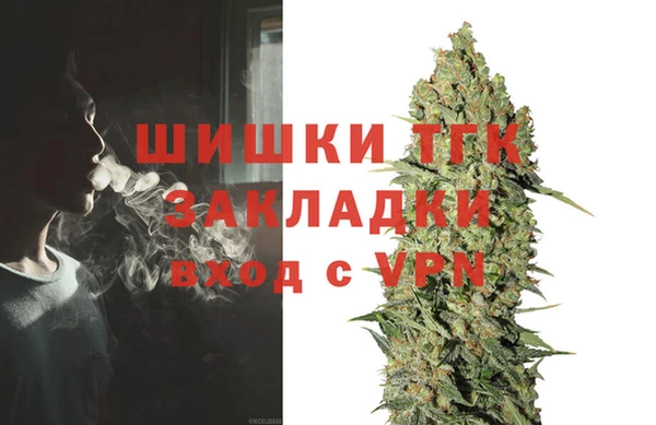 стафф Алексин