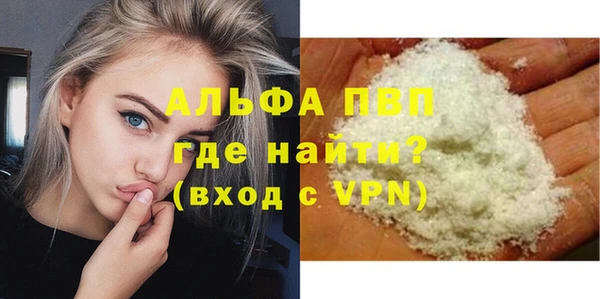 стафф Алексин