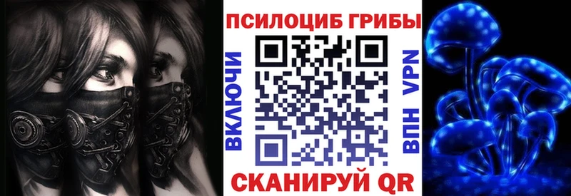 hydra сайт  Солнечногорск  Псилоцибиновые грибы прущие грибы  купить наркотики сайты 